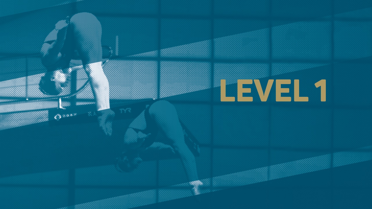 Diving Virtual Talent Search - Level 1 Diving Virtual Talent Search - Level 1