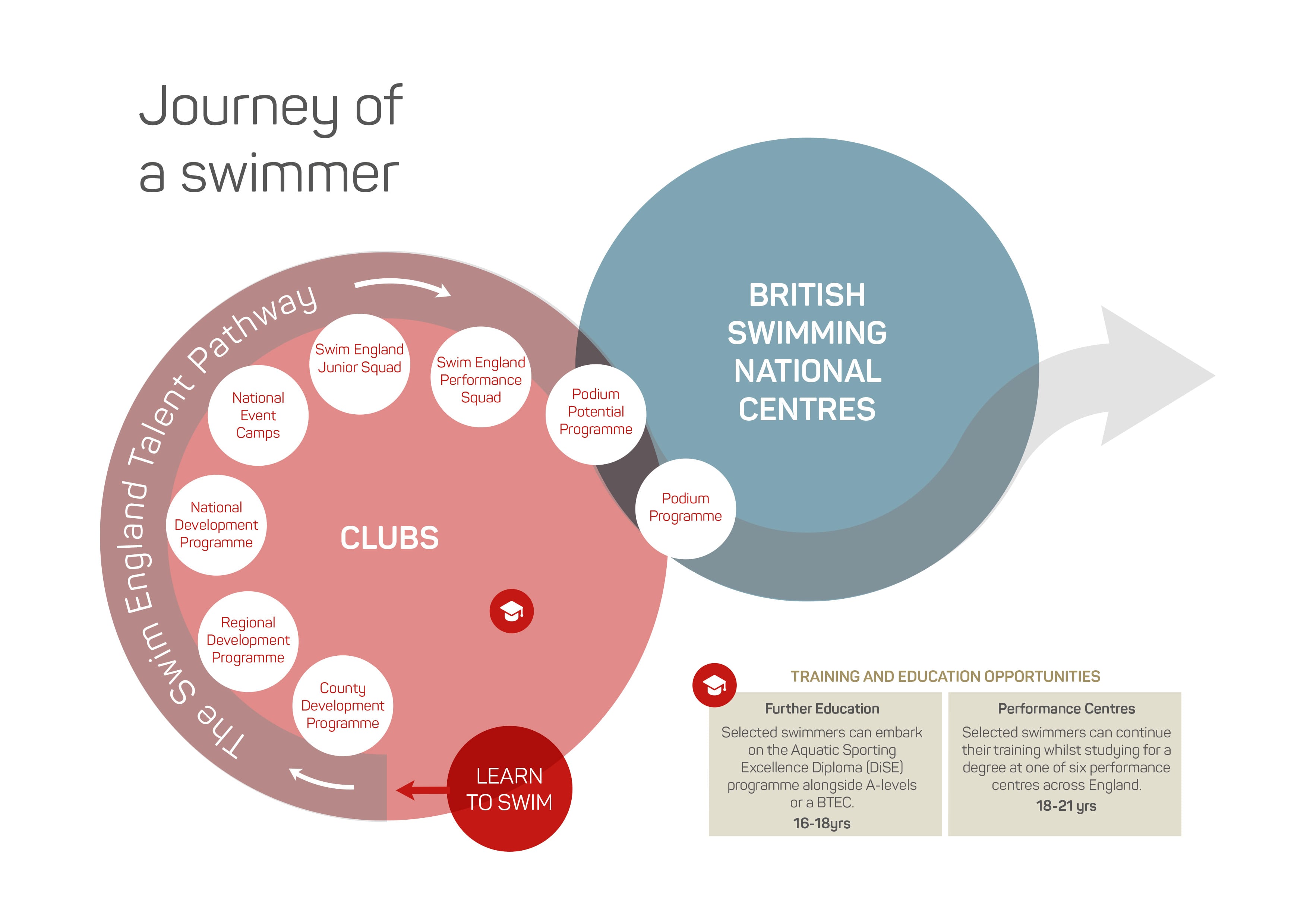 Swimming journey. How to choose a swimming performance centre